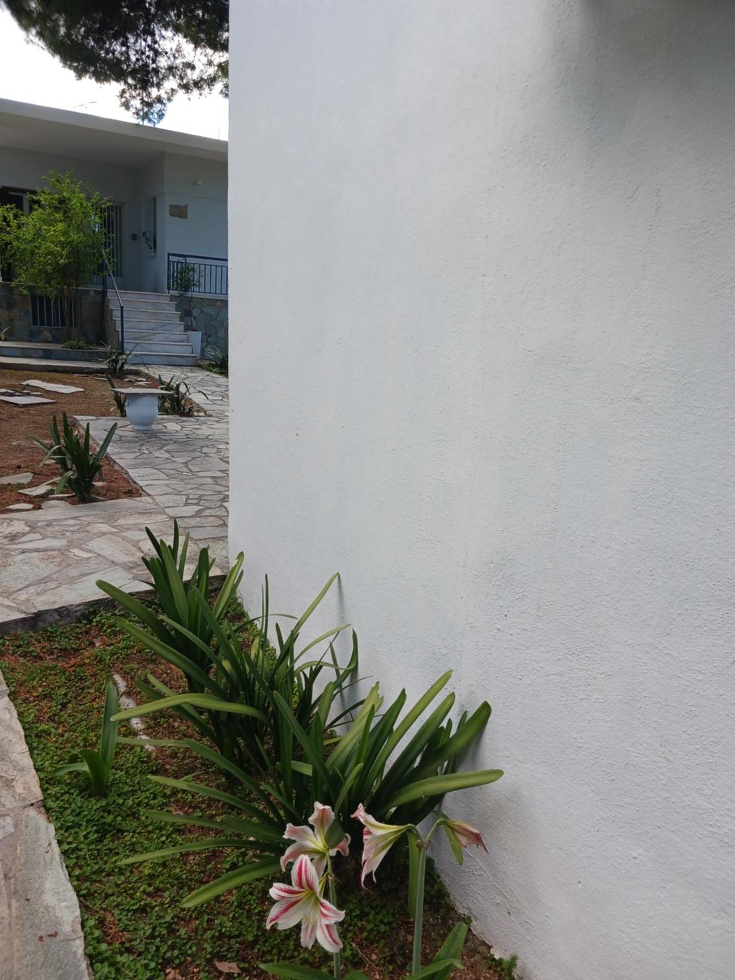 Theros & Trygos Boutique Houses - Ath Airport Artemida  Dış mekan fotoğraf