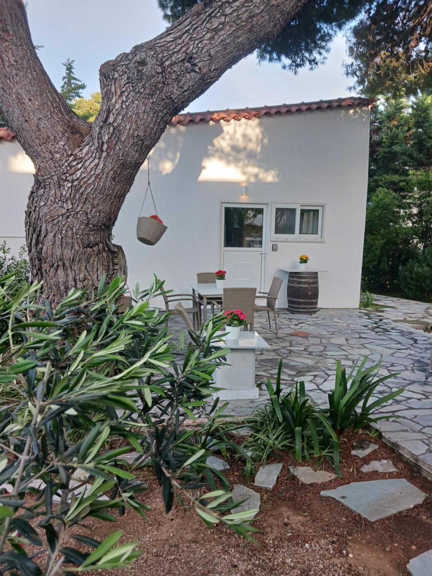 Theros & Trygos Boutique Houses - Ath Airport Artemida  Dış mekan fotoğraf