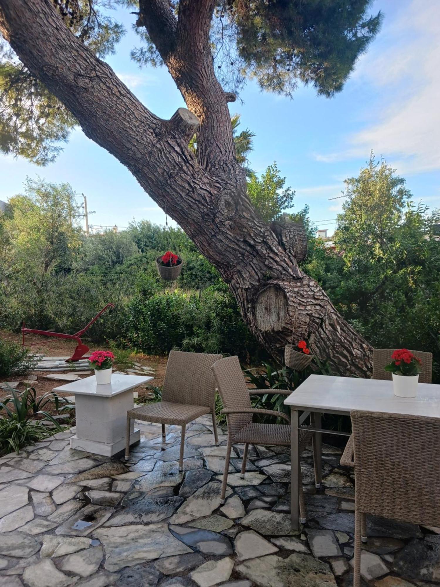 Theros & Trygos Boutique Houses - Ath Airport Artemida  Dış mekan fotoğraf
